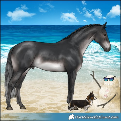 Horse Color:Platinum Brown Mushroom Rabicano 