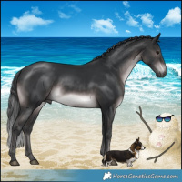 Horse Color:Platinum Brown Mushroom Rabicano