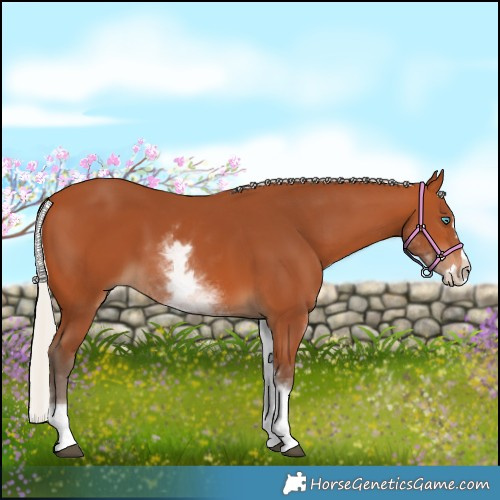 Horse Color:White Spotted Silver Bay Splash 