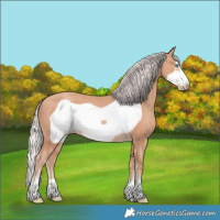 Horse Color:Silver Amber Champagne Frame