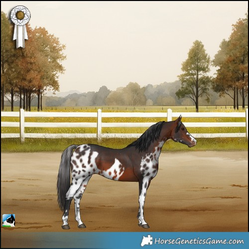 Horse Color:Bay Skewed LP Spotted 