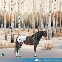 Horse Color:Brown Splash Snowcap 