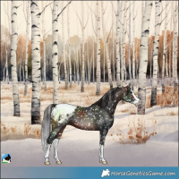 Horse Color:Brown Splash Snowcap 