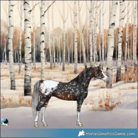 Horse Color:Brown Splash Snowcap 
