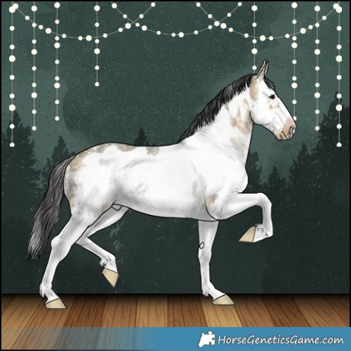 Horse Color:Buckskin Dun Sabino Splash Frame Rabicano 