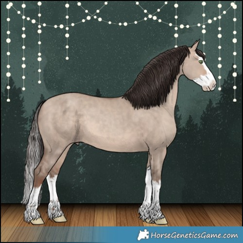 Horse Color:Sable Champagne Dun Splash 