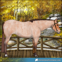 Horse Color:Chocolate Bay Roan 