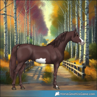 Horse Color:Chocolate Black Frame 