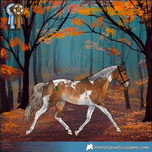 Horse Color:Chocolate Palomino Tobiano Rabicano 