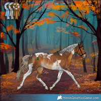 Horse Color:Chocolate Palomino Tobiano Rabicano 