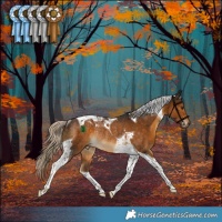 Horse Color:Chocolate Palomino Tobiano Rabicano 
