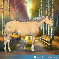 Horse Color:Palomino