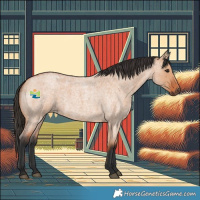 Horse Color:Bay Roan Dun 