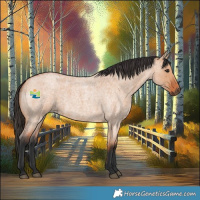 Horse Color:Bay Roan Dun 