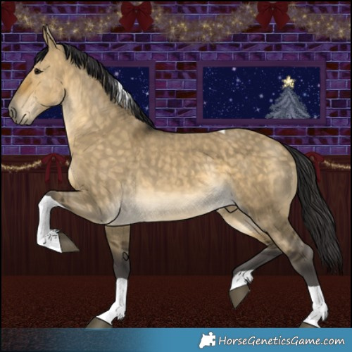 Horse Color:Buckskin Dun Tobiano 