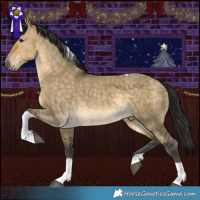 Horse Color:Buckskin Dun Tobiano 