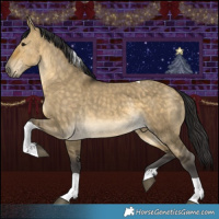 Horse Color:Buckskin Dun Tobiano
