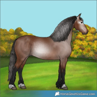 Horse Color:Gray Bay 