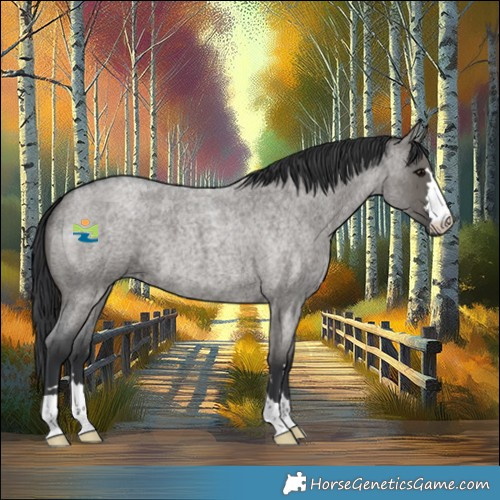 Horse Color:Grullo Roan
