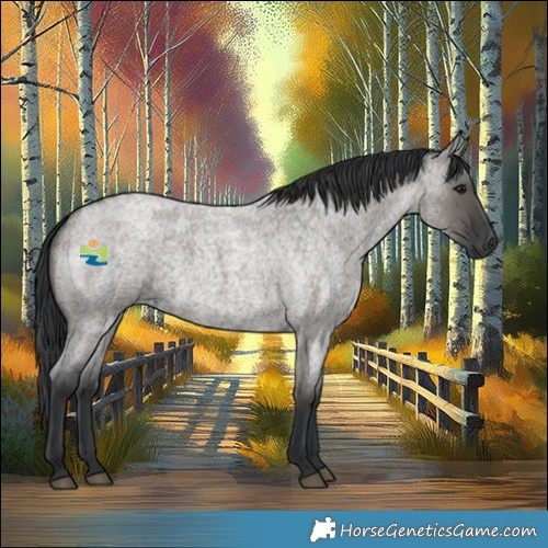 Horse Color:Grullo Roan Rabicano 