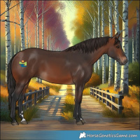 Horse Color:Brown 