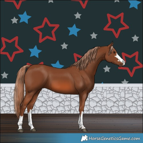 Horse Color:Chestnut 