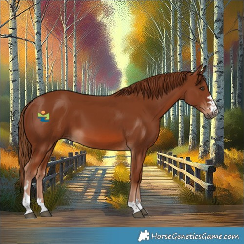 Horse Color:Chestnut 