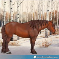 Horse Color:Chocolate Bay 
