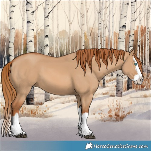 Horse Color:Red Dun Splash 