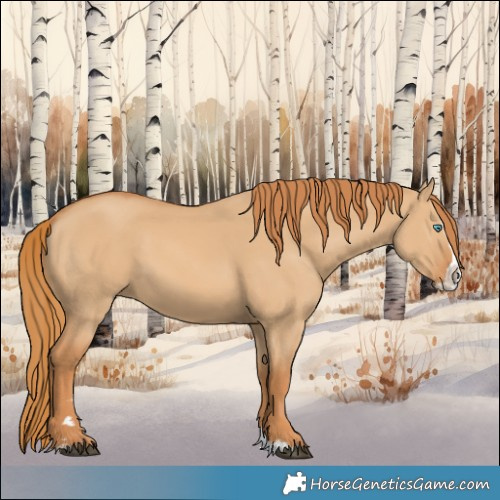 Horse Color:Red Dun Splash 