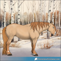 Horse Color:Red Dun Splash 