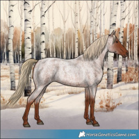Horse Color:Red Roan 