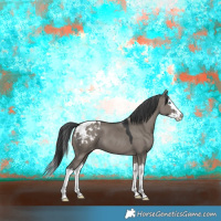 Horse Color:Grullo Splash Blanket 