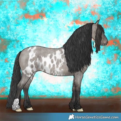 Horse Color:Grullo Roan Skewed Appaloosa 