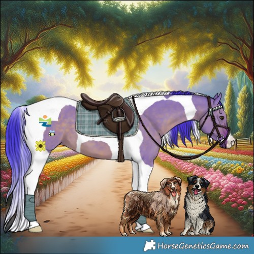 Horse Color:Watercolor Liver Red Dun Tobiano 