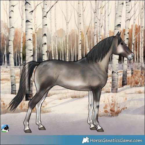 Horse Color:Blue Onyx