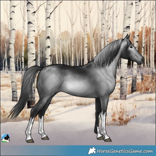 Horse Color:Gray White Spotted Brown Mushroom Rabicano