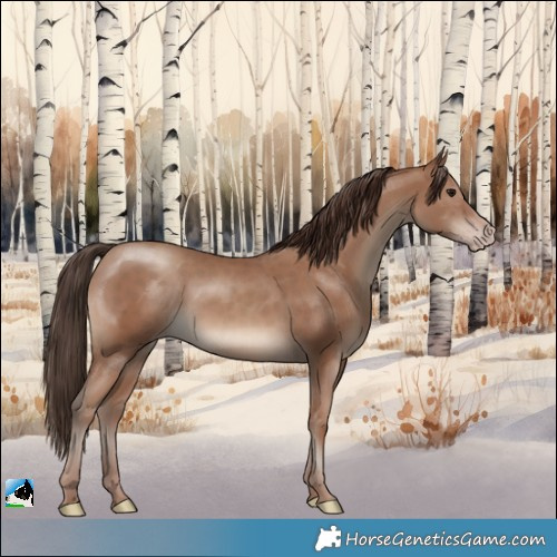 Horse Color:Classic Champagne Rabicano 