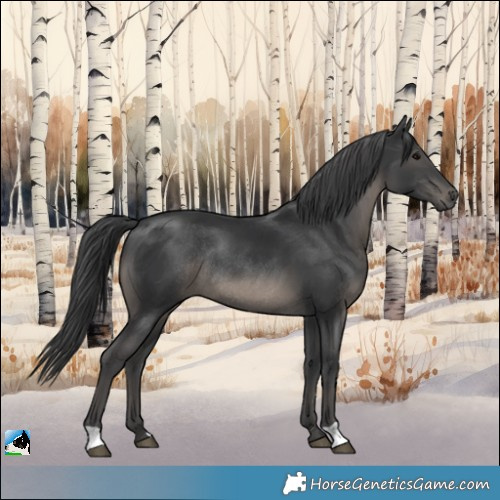 Horse Color:Black Mushroom Rabicano