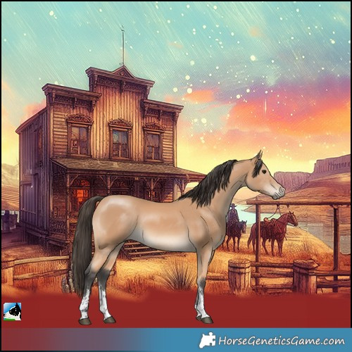 Horse Color:Buckskin Sabino Rabicano 