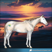 Horse Color:Sable Cream Champagne Pearl Splash 