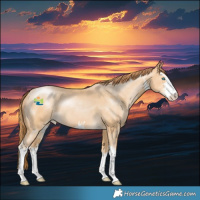 Horse Color:White Spotted Buckskin Pearl 