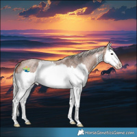 Horse Color:White Spotted Silver Blue Roan Splash 