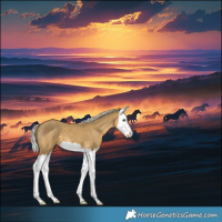 Horse Color:Silver Classic Cream Champagne Splash 