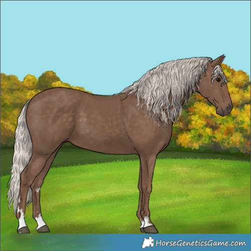 Horse Color:Silver Black 