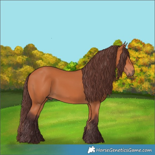 Horse Color:Chocolate Bay 
