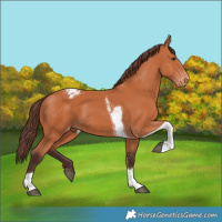 Horse Color:Chocolate Bay Tobiano Varnish