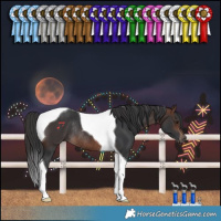 Horse Color:Brown Tobiano Rabicano