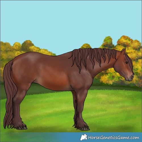Horse Color:Chocolate Brown 