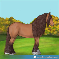 Horse Color:Chocolate Bay